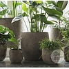Pot Flora | Set Van 2 H30 x D30 cm | Earth Finish