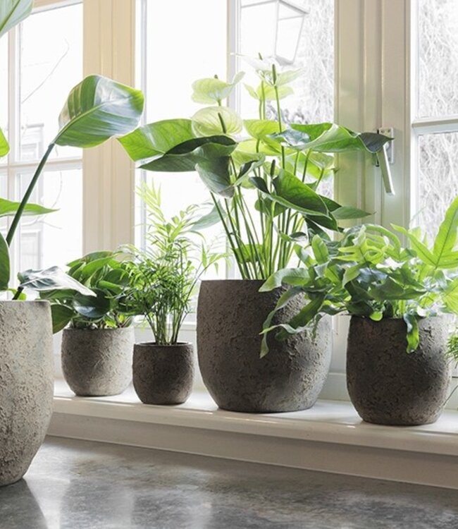 Be-Uniq Pot Flora | Set Van 2 | H25 x D25 cm | Earth Finish