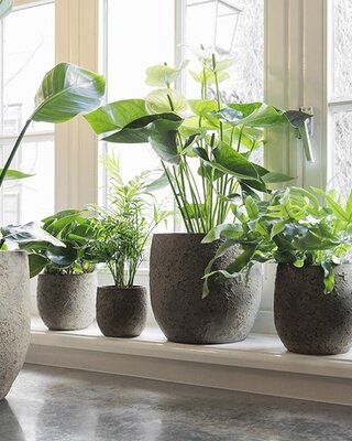 Be-Uniq Pot Flora | Set Van 2 | H20 x D19 cm | Earth Finish