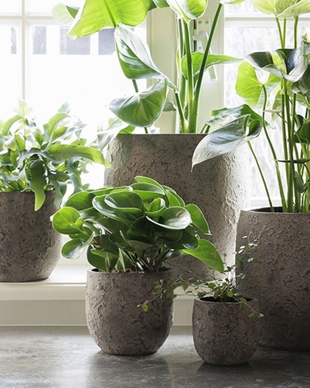 Be-Uniq Pot Flora | Set Van 2 | H20 x D19 cm | Earth Finish