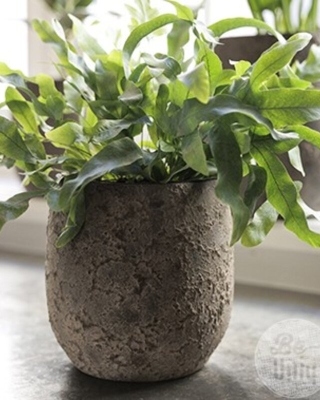Be-Uniq Pot Flora | Set Van 2 | H19 x D17 cm | Earth Finish