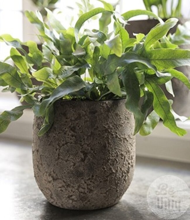 Be-Uniq Pot Flora | Set Van 2 | H19 x D17 cm | Earth Finish