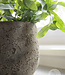 Be-Uniq Pot Flora | Set Van 2 | H19 x D17 cm | Earth Finish