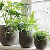 Pot Flora | Set Van 2 | H19 x D17 cm | Earth Finish