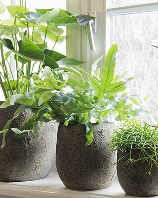 Be-Uniq Pot Flora | Set Van 2 | H19 x D17 cm | Earth Finish