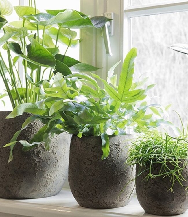 Be-Uniq Pot Flora | Set Van 2 | H15 x D15 cm | Earth Finish