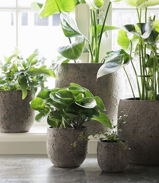 Be-Uniq Pot Flora | Set Van 2 | H13 x D12 cm | Earth Finish
