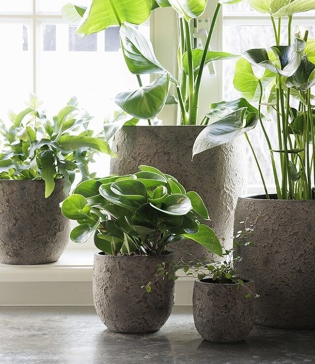Be-Uniq Pot Flora | Set Van 2 | H13 x D12 cm | Earth Finish