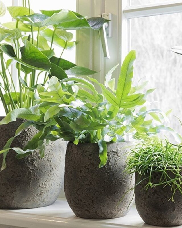 Be-Uniq Pot Flora | Set Van 2 | H13 x D12 cm | Earth Finish