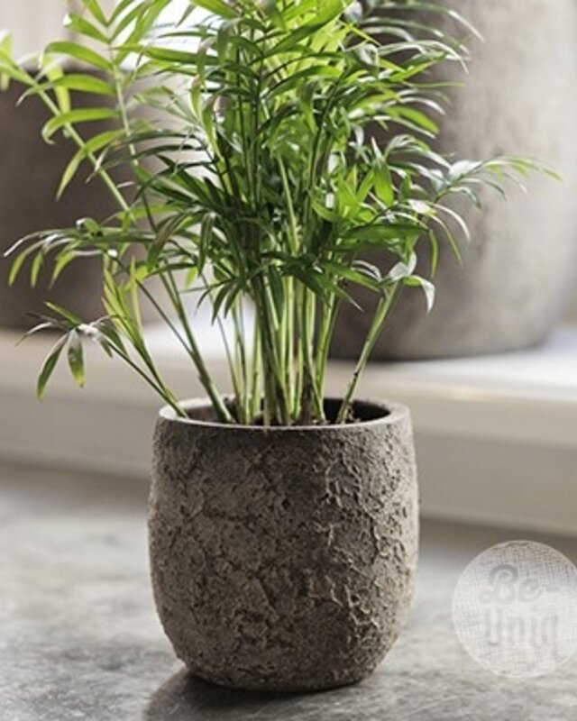 Be-Uniq Pot Flora | Set Van 2 | H13 x D12 cm | Earth Finish