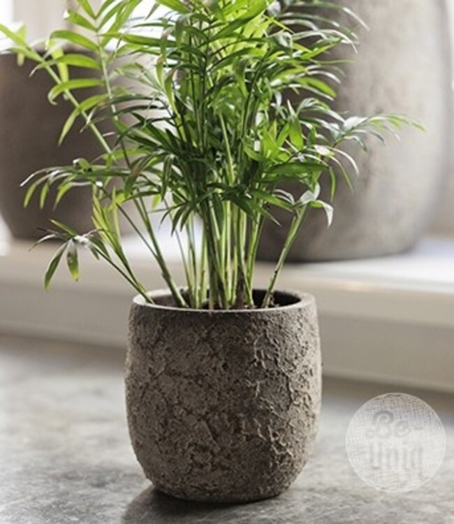 Be-Uniq Pot Flora | Set Van 2 | H13 x D12 cm | Earth Finish