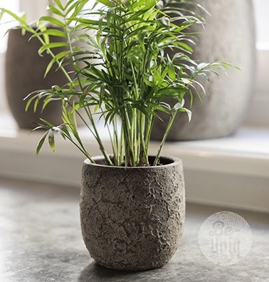 Be-Uniq Pot Flora | Set Van 2 | H13 x D12 cm | Earth Finish