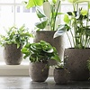 Pot Flora | Set Van 2 | H11 x D11 cm | Earth Finish
