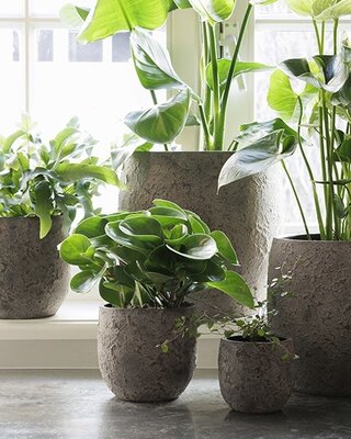 Be-Uniq Pot Flora | Set Van 2 | H11 x D11 cm | Earth Finish
