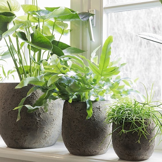 Be-Uniq Pot Flora | Set Van 2 | H11 x D11 cm | Earth Finish