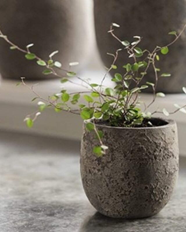 Be-Uniq Pot Flora | Set Van 2 | H11 x D11 cm | Earth Finish