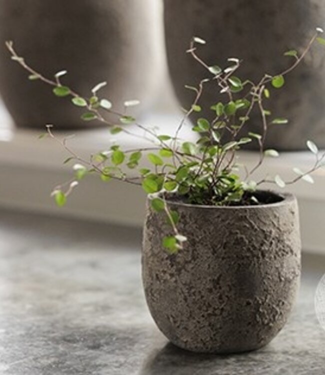 Be-Uniq Pot Flora | Set Van 2 | H11 x D11 cm | Earth Finish