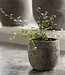 Be-Uniq Pot Flora | Set Van 2 | H11 x D11 cm | Earth Finish