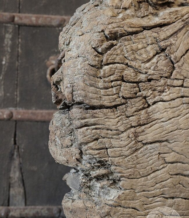 Be-Uniq Origineel Oud Wiel Op Standaard | India | H63xB54xD15 cm