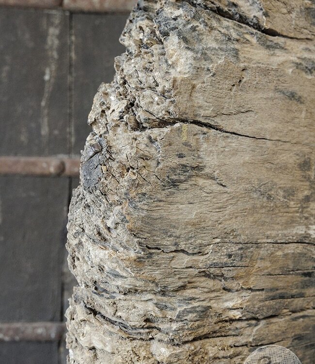 Be-Uniq Origineel Oud Wiel Op Standaard | India | H63xB74xD15 cm