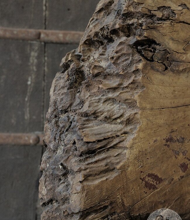 Be-Uniq Origineel Oud Wiel Op Standaard | India | H69xB68xD20 cm