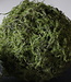 Rene Houtman Mosbol Small Decoratiebol | D18 cm