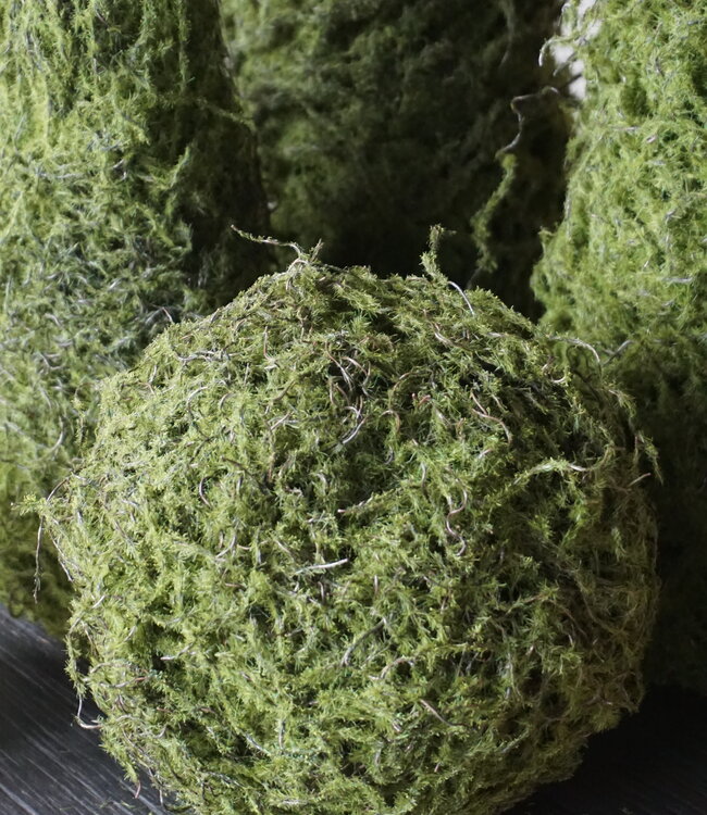 Rene Houtman Mosbol Medium Decoratiebol | D20 cm