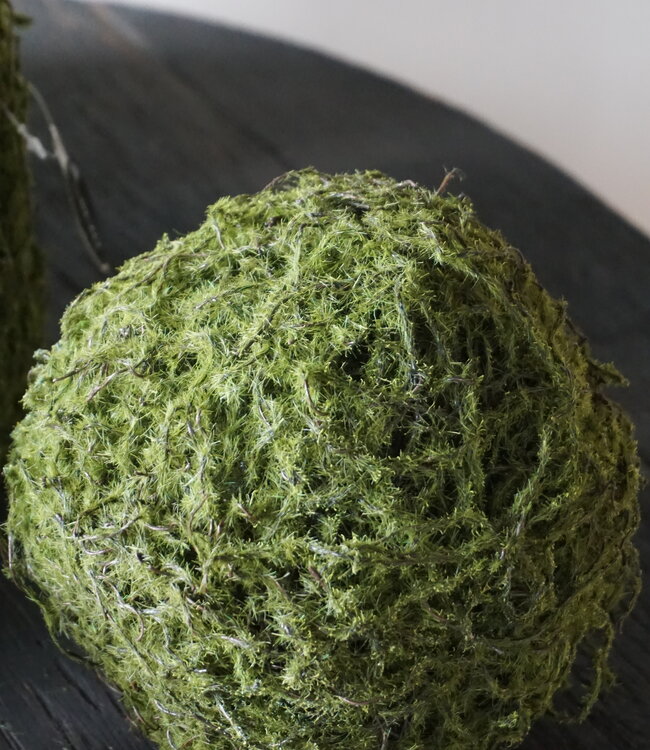 Rene Houtman Mosbol Medium Decoratiebol | D20 cm