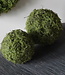 Rene Houtman Mosbol Medium Decoratiebol | D20 cm