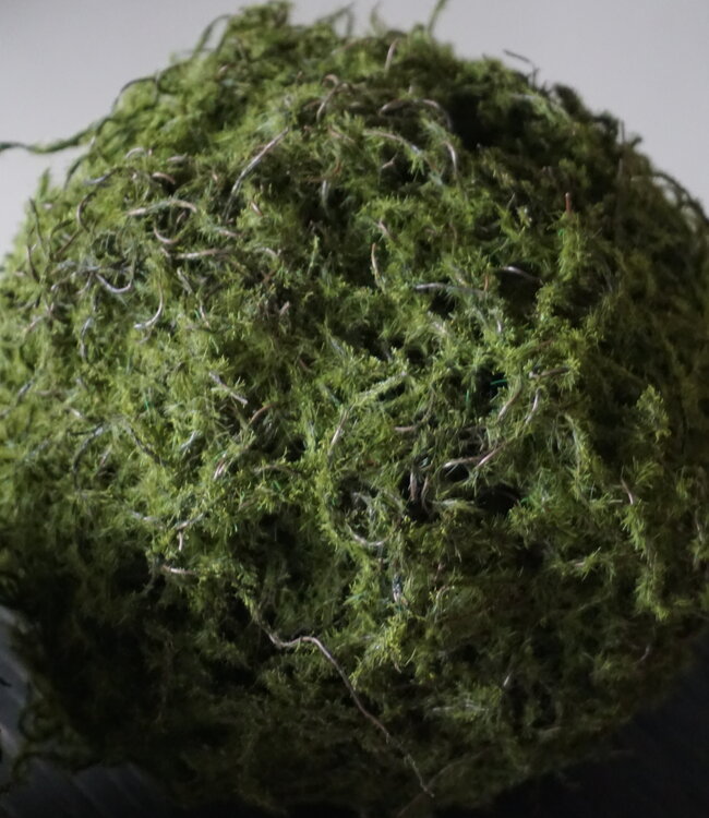 Rene Houtman Mosbol Medium Decoratiebol | D20 cm