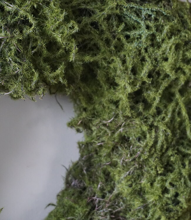 Rene Houtman Moskrans | Diameter 46 cm