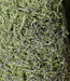 Rene Houtman Mos Boom | Decoratieboom | H30 x D14 cm
