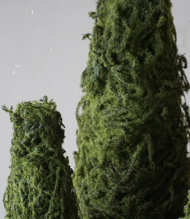 Rene Houtman Mos Boom | Decoratieboom | H30 x D14 cm