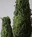 Rene Houtman Mos Boom | Decoratieboom | H30 x D14 cm