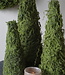 Rene Houtman Mos Boom | Decoratieboom | H40 x D16 cm