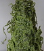 Rene Houtman Mos Boom | Decoratieboom | H40 x D16 cm