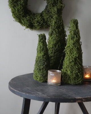 Rene Houtman Mos Boom | Decoratieboom | H40 x D16 cm
