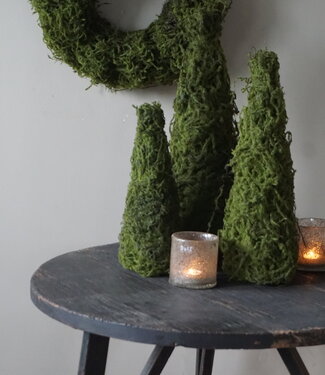 Rene Houtman Mos Boom | Decoratieboom | H40 x D16 cm