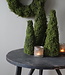 Rene Houtman Mos Boom | Decoratieboom | H50 x D20 cm