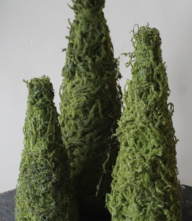 Rene Houtman Mos Boom | Decoratieboom | H50 x D20 cm