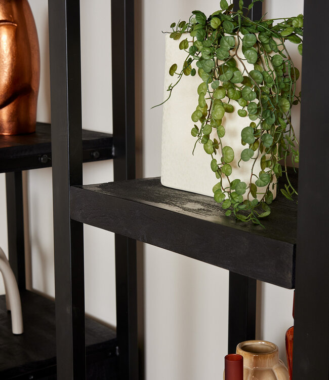 Starfurn Boekenkast Boaz | Zwart | Mangohout | 1 deur