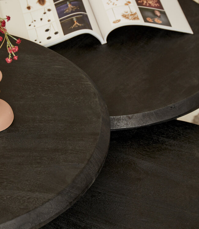 Starfurn Salontafel Ohio Zwart | Set Van 3 | Mangohout