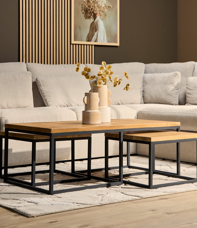 Starfurn Salontafel Denver | Set van 3 | Mangohout