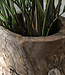 Be-Uniq Oude Houten Pot | India | H52 x B37 x D37 cm