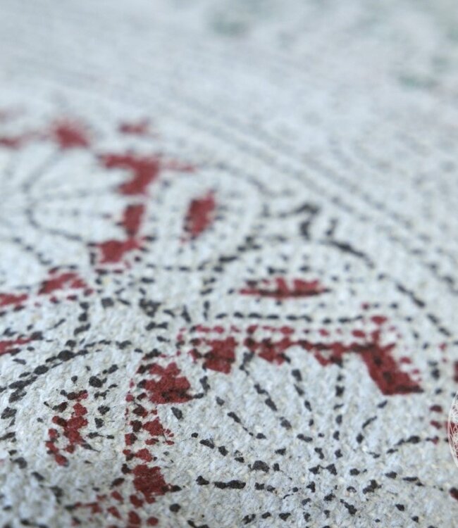 Be-Uniq Sierkussen Blauw/Rood | H45xB45 cm