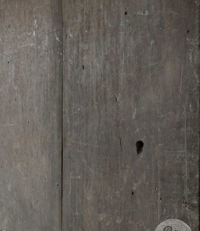 Be-Uniq Oude Deur | India | H171 x B105 x D4 cm