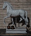 Rene Houtman Paard Beeld Op Voet | Beton | Tweede Kansje!