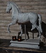Rene Houtman Paard Beeld Op Voet | Beton | Tweede Kansje!