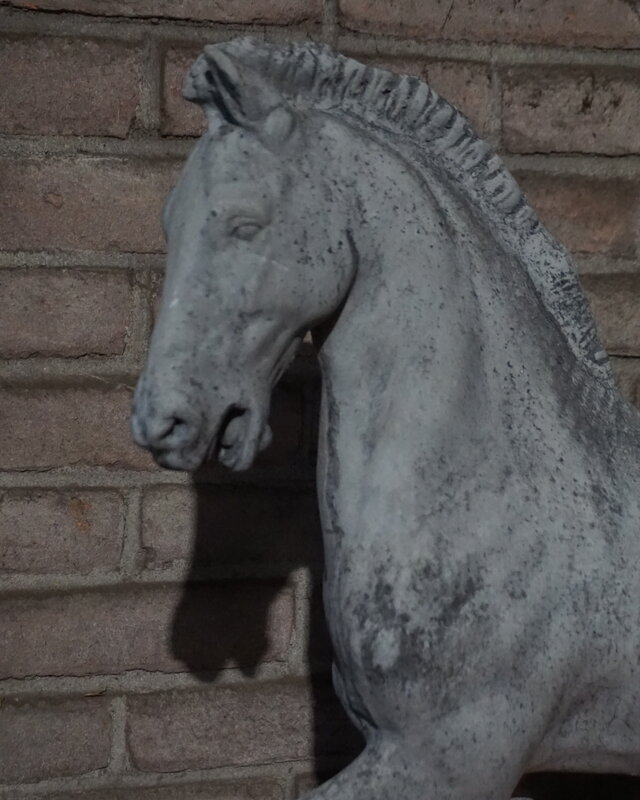 Rene Houtman Paard Beeld Op Voet | Beton | Tweede Kansje!