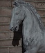 Rene Houtman Paard Beeld Op Voet | Beton | Tweede Kansje!